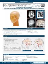 PH-3 Angiographic CT Head Phantom ACS