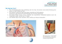 _Patientenratgeber-Apherese.-5