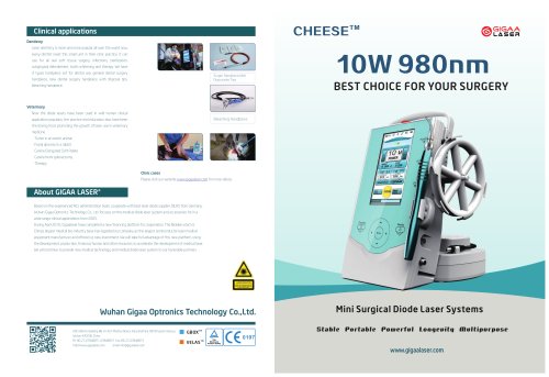 10W 980nm weke delen chirurgie laser