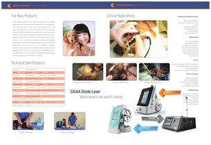 Veterinair diode lasersysteem - 2