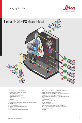 Leica TCS SP8 Scan Head-Flyer_EN