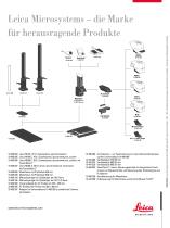 XL Stand - 4