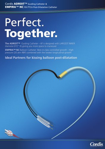 Perfect Together- Kissing Technique brochure