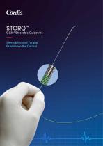 STORQ Steerable Guidewire