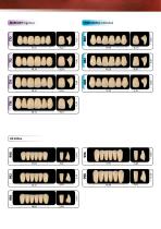 Tooth mould guide NFC+ - 3