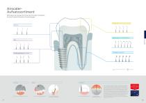 Dentalhygiene - 10