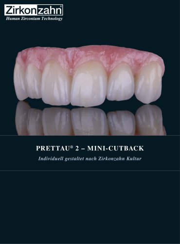 Fallgalerie Prettau® 2 Mini-Cutback