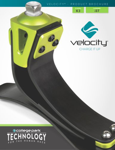 Velocity