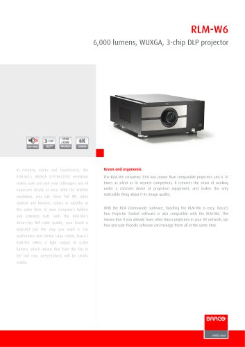 Projectors RLMW6