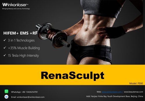 Winkonlaser RenaSculpt FE60 EMS Body Sculpt Machine