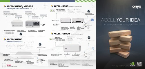 ACCEL AI Brochure