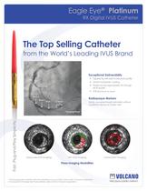 Eagle Eye® Platinum Catheter