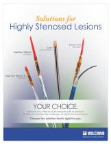 Highly Stenosed Lesions Brochure