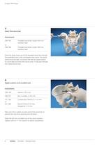 Sacral Bars - 10