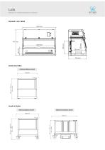 Abzug mit vertikal laminaren Luftstrom - 2