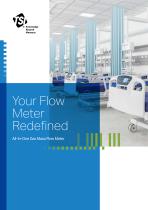 5000 Series Flow Meter Brochure EN