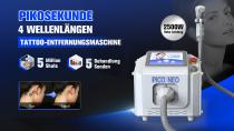 Perfectlaser Z150 Picosequenz Laser Tattoo Entfernung