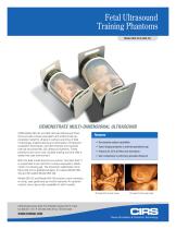 Fetal Ultrasound Training Phantom